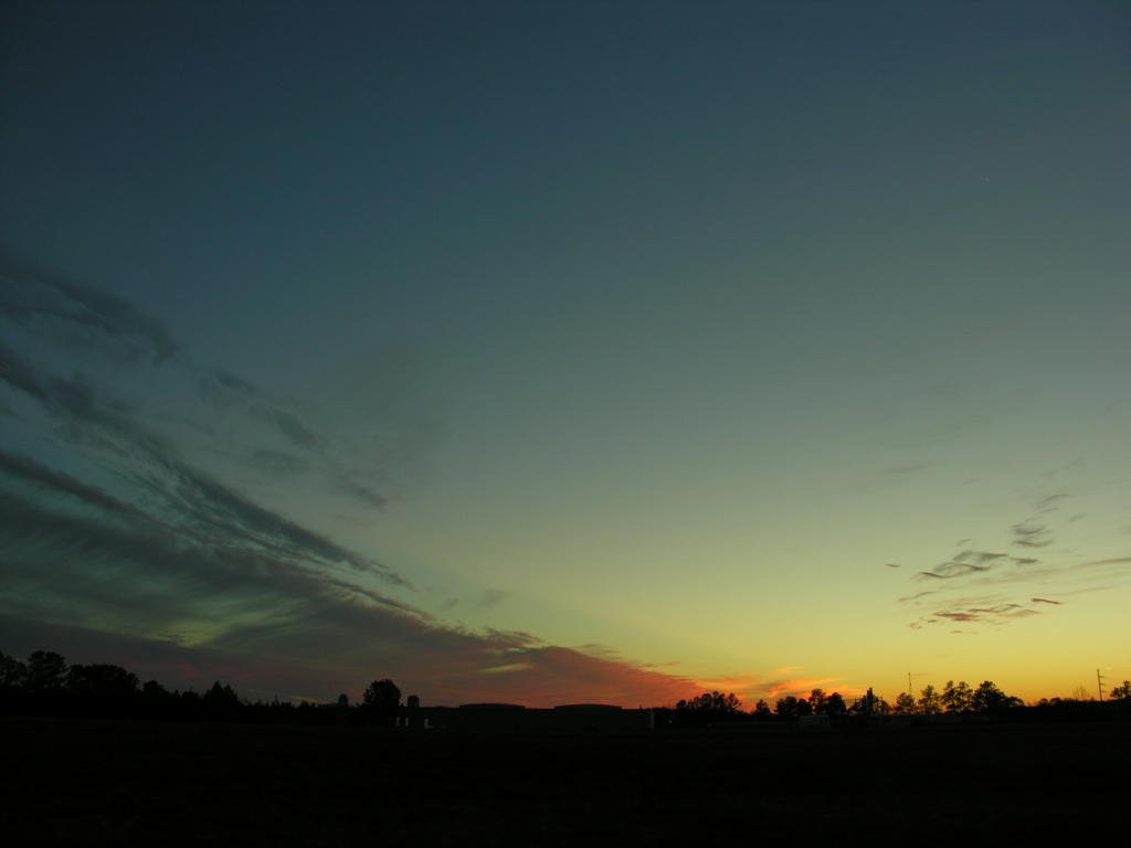DSCN8679x.jpg
