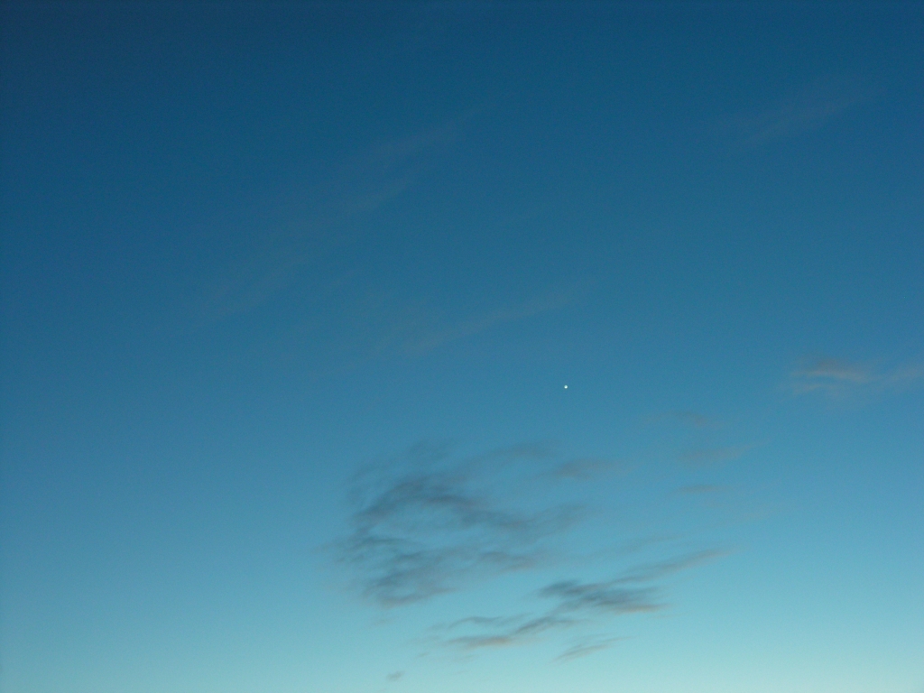 DSCN8685x.jpg