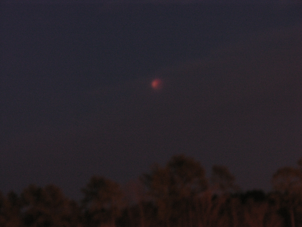 DSCN8702x.jpg