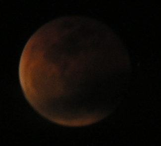 DSCN8709x.jpg