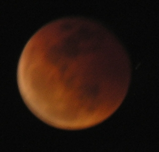 DSCN8710x.jpg