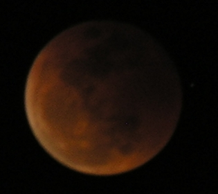 DSCN8712x.jpg