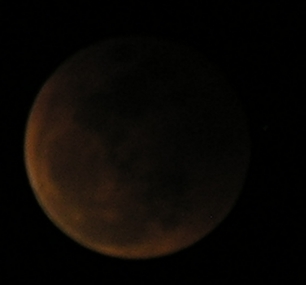 DSCN8713x.jpg