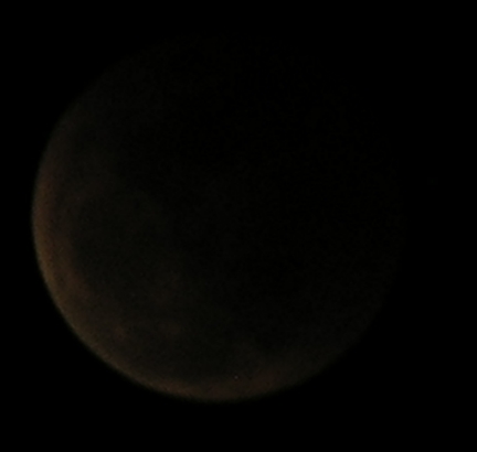 DSCN8714x.jpg