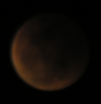 DSCN8716x.jpg