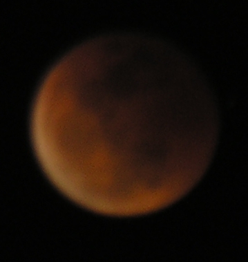 DSCN8717x.jpg