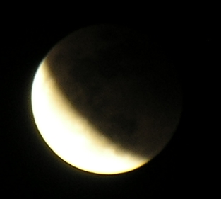 DSCN8731x.jpg