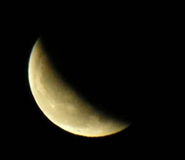 DSCN8734x.jpg