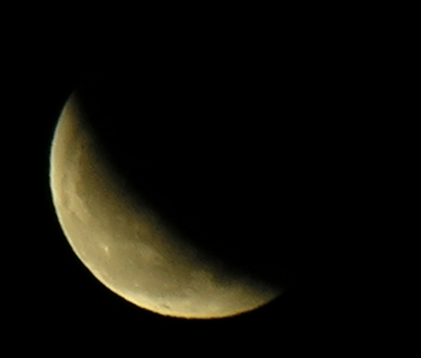 DSCN8735xx.jpg