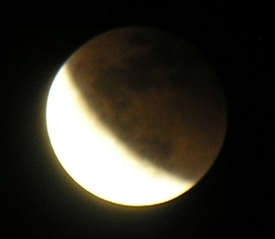 DSCN8738x.jpg