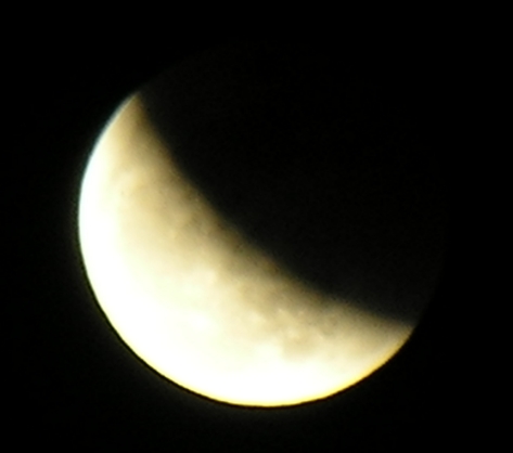DSCN8755x.jpg