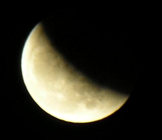 DSCN8760x.jpg