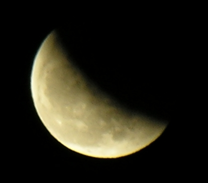 DSCN8761x.jpg
