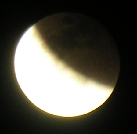 DSCN8766x.jpg