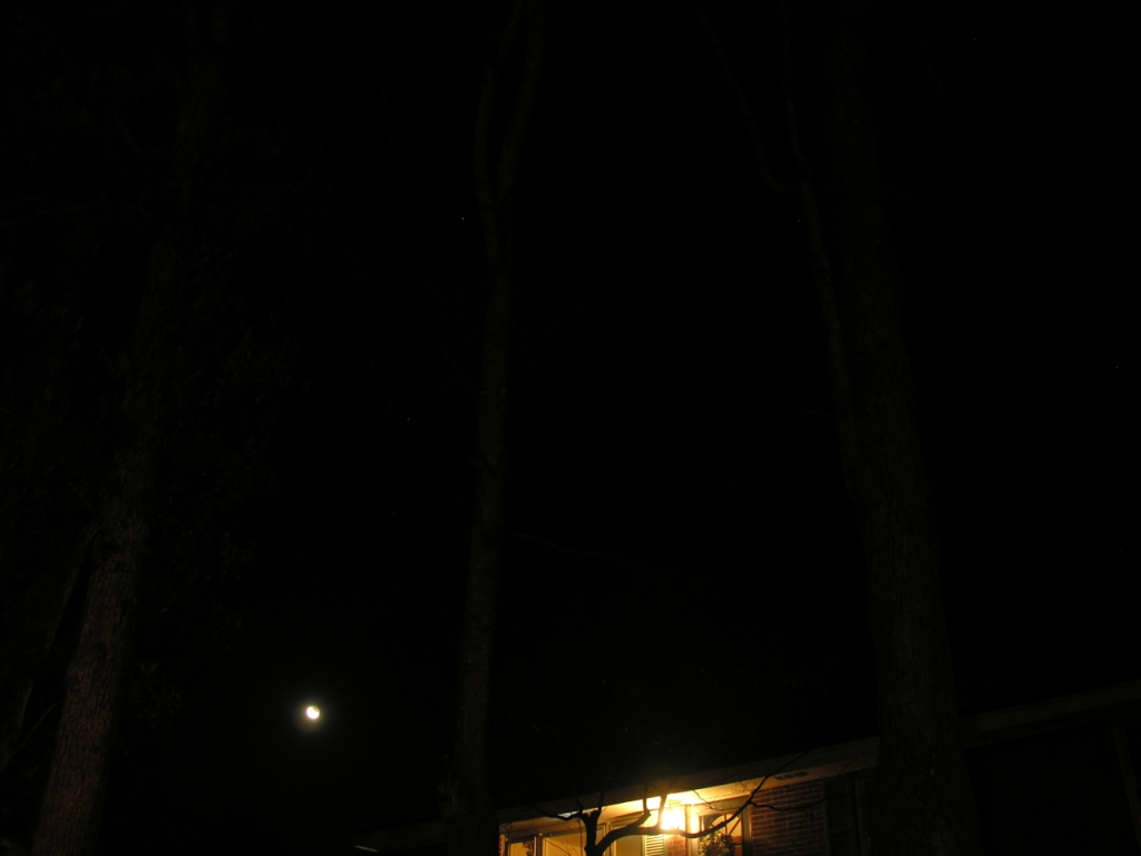 DSCN8768x.jpg
