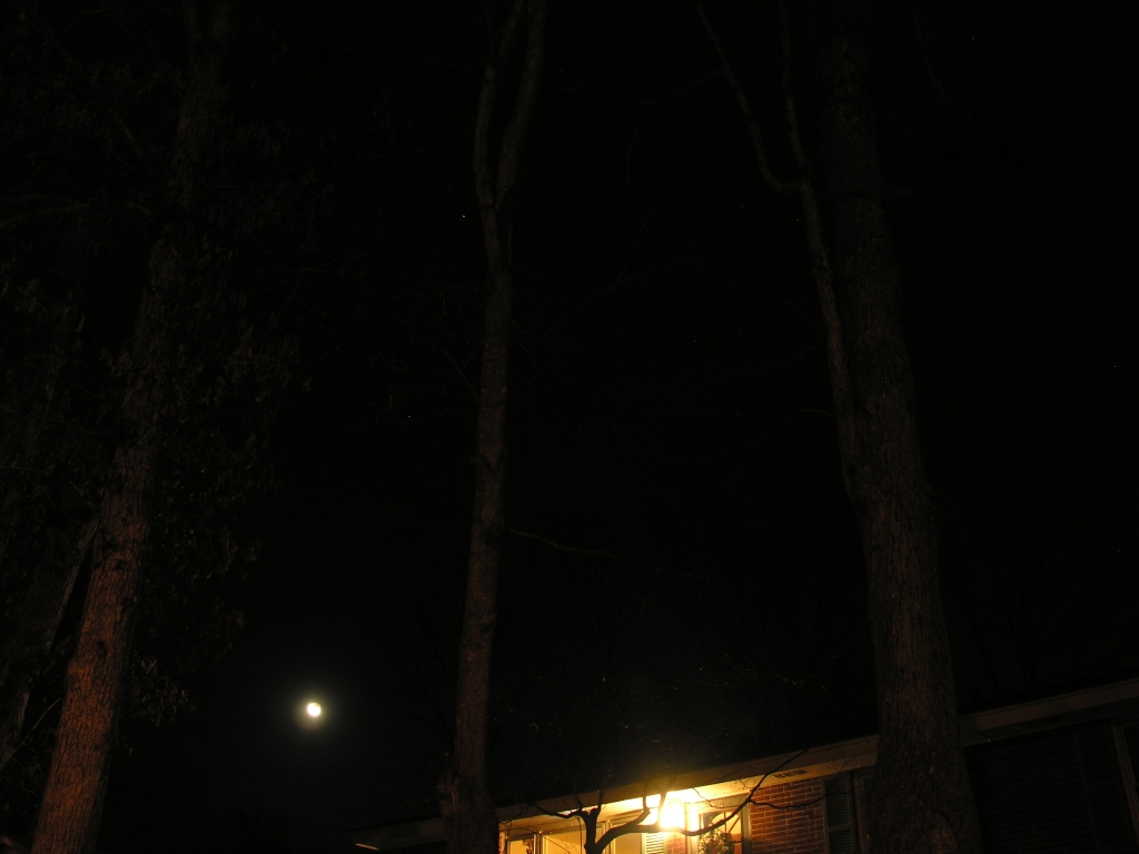 DSCN8769x.jpg