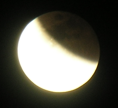 DSCN8777x.jpg