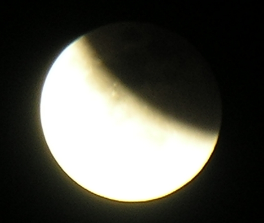 DSCN8778x.jpg
