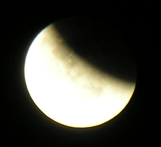 DSCN8780x.jpg