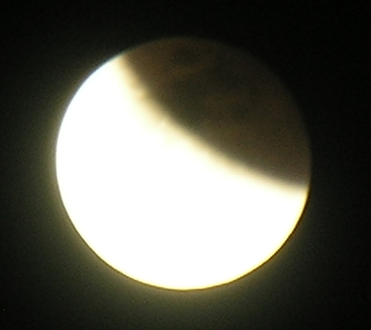 DSCN8781x.jpg