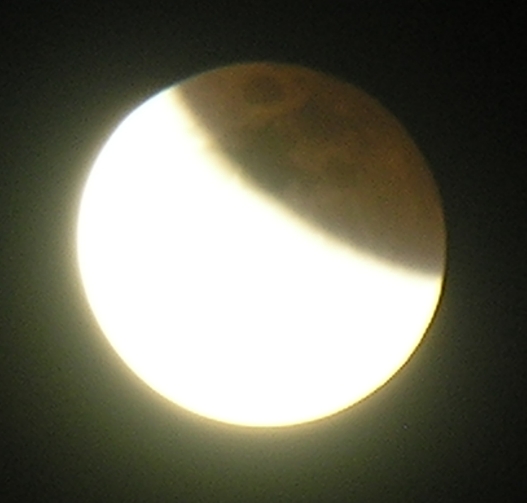 DSCN8782x.jpg