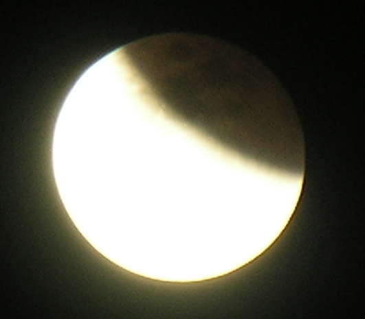 DSCN8784x.jpg