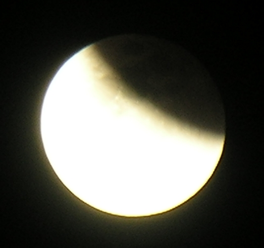 DSCN8786x.jpg