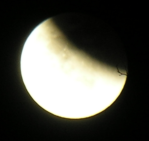 DSCN8787x.jpg