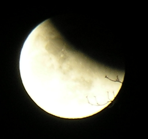 DSCN8788x.jpg
