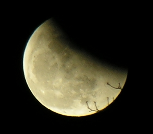 DSCN8790x.jpg