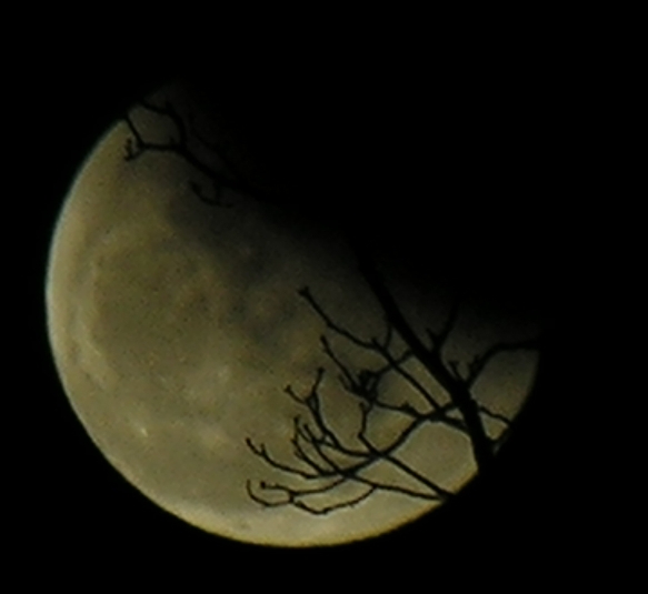 DSCN8792x.jpg