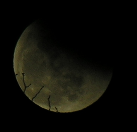 DSCN8794x.jpg