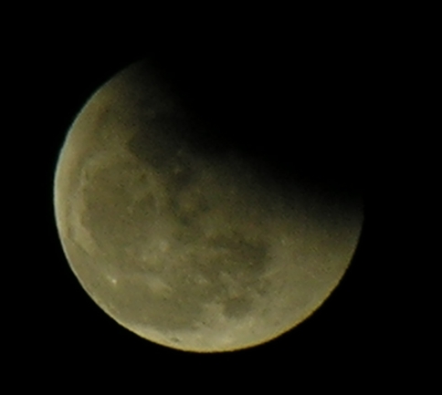 DSCN8797x.jpg
