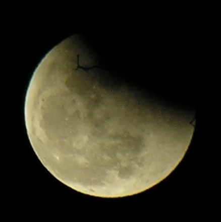 DSCN8798x.jpg