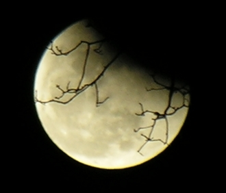 DSCN8800x.jpg