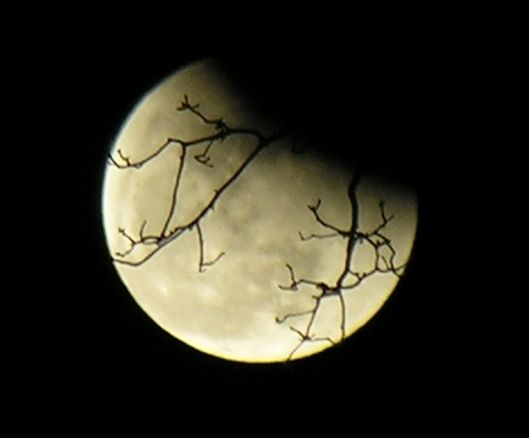 DSCN8801x.jpg