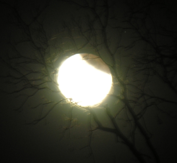 DSCN8807x.jpg
