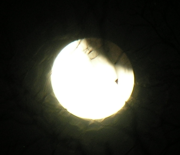 DSCN8809x.jpg