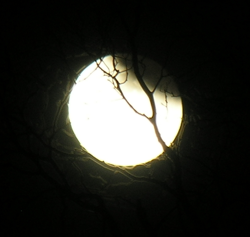 DSCN8810x.jpg