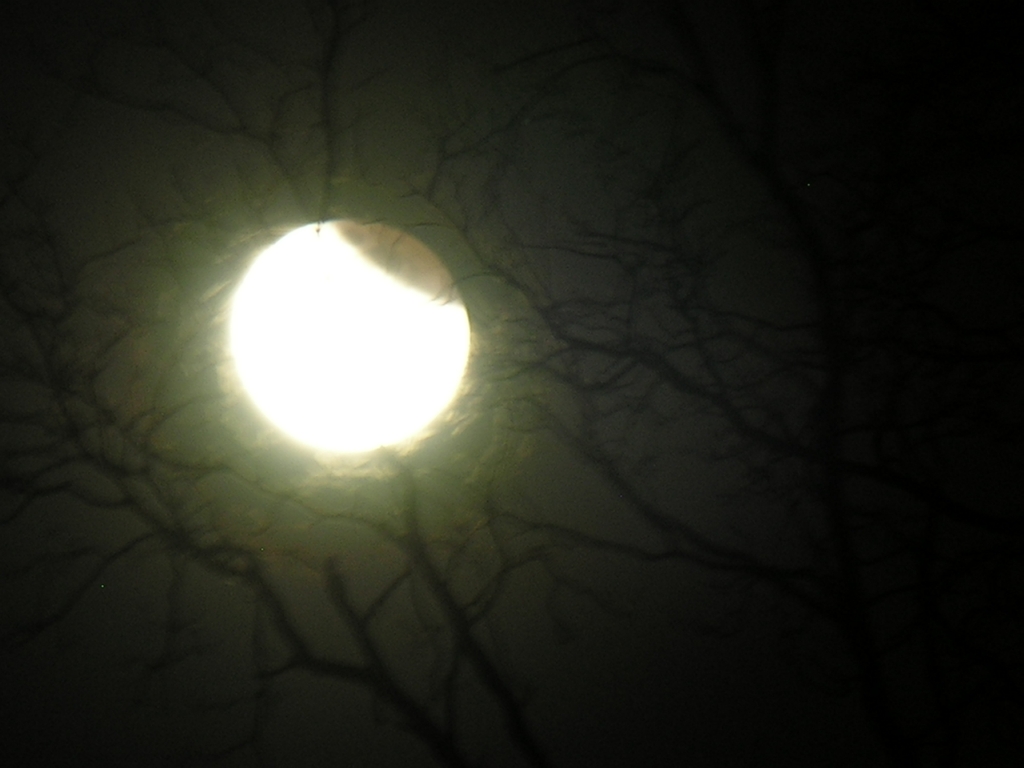 DSCN8812_1024.jpg