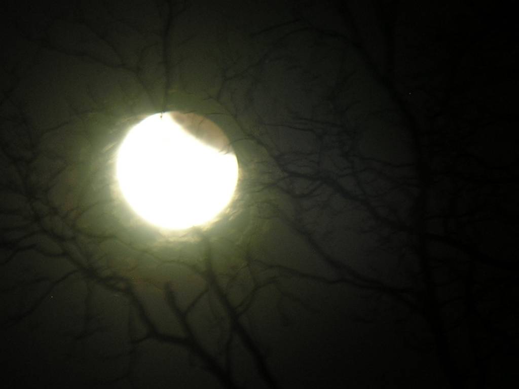 DSCN8812_1280.jpg