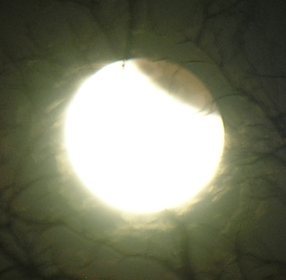 DSCN8812x.jpg