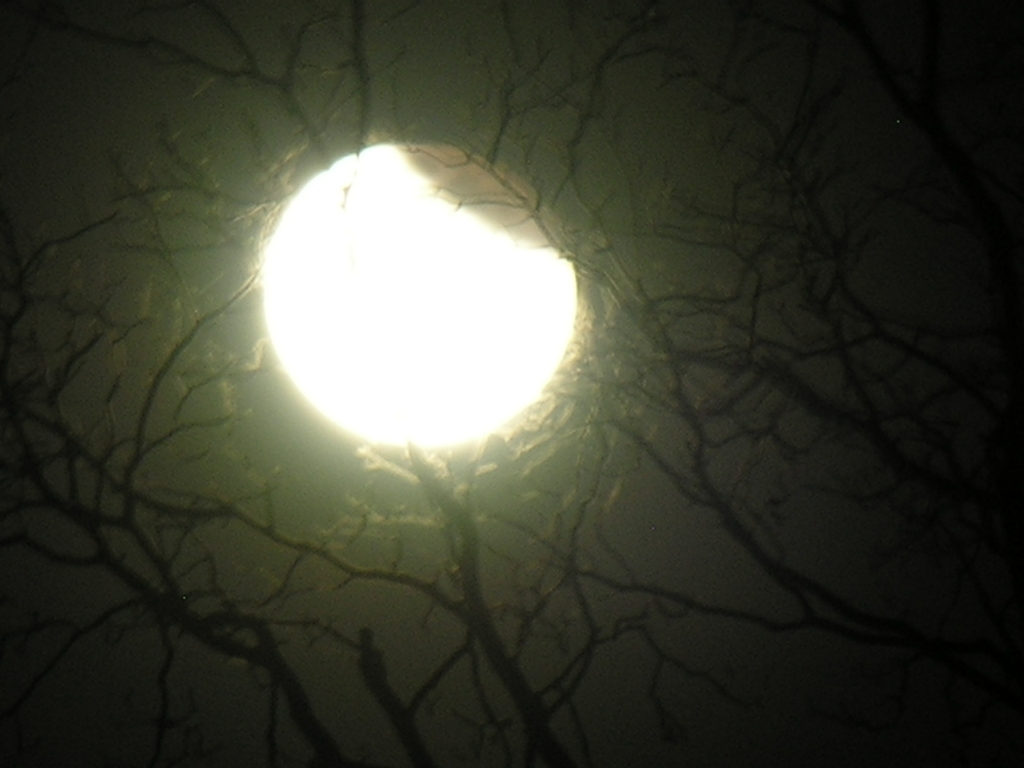 DSCN8813_1024.jpg