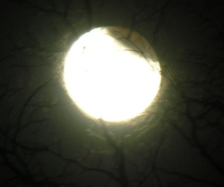 DSCN8814x.jpg