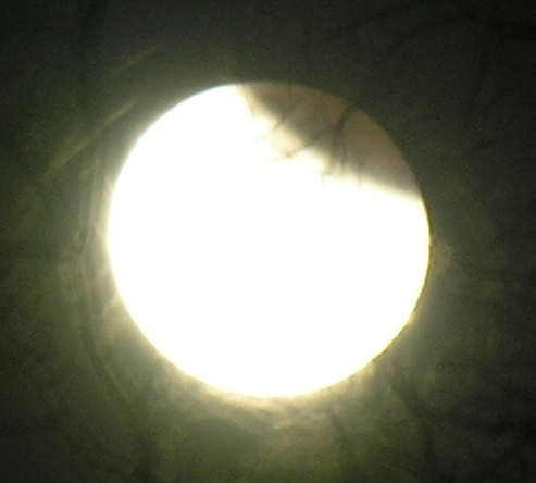 DSCN8815x.jpg