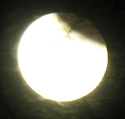 DSCN8816x.jpg