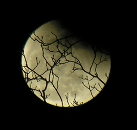 DSCN8820x.jpg