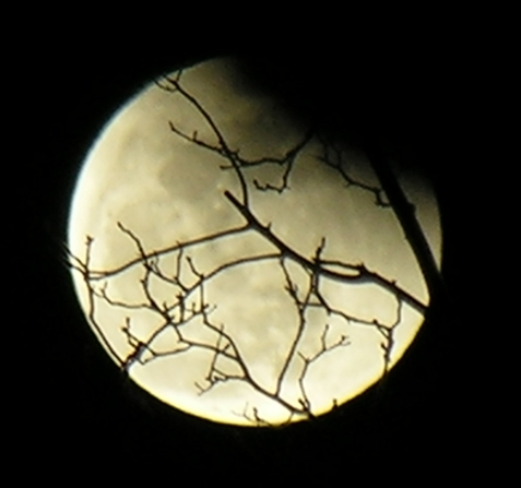 DSCN8823x.jpg
