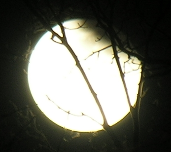 DSCN8825x.jpg