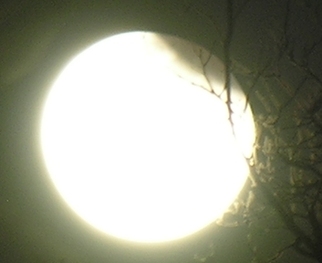 DSCN8827x.jpg